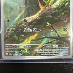 Chespin 087/086 - Mega Evolution: Chaos Rising - Pokemon TCG Illustration Rare - Image 4