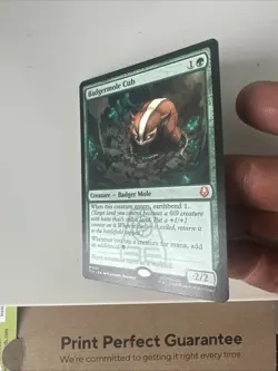 Badgermole Cub Avatar: The Last Airbender NM - Image 3