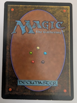 Adarkar Wastes 1995 Wizards Of The Coast Mike Raabe '96 Gold Signed Ice Age Card - Image 2
