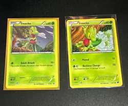 Pokemon TCG Treecko 2-Card Lot | XY36 Promo & 6/116 | English - Image 1