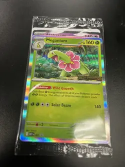 Pokemon MEGA EVOLUTION STAFF PROMO SET Sealed NM Set Of 4 in hand ready to ship - Image 2