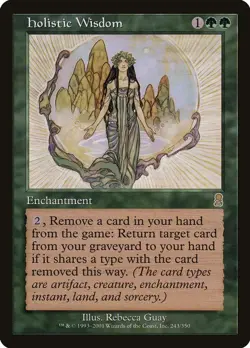 Holistic Wisdom - ODY - 243 NM/LP - Image 1