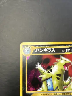 Pokemon Card - Tyranitar Crossing the Ruins Holo Rare JP 248 - Image 3