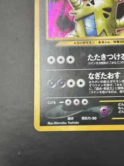 Pokemon Card - Tyranitar Crossing the Ruins Holo Rare JP 248 - Image 4