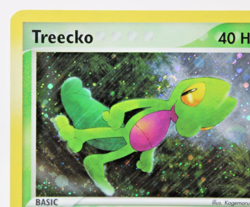 🔥 Treecko 016 Black Star Promo w/ Swirl ex Deck Tin Near Mint Pokemon TCG 🔥 - Image 4