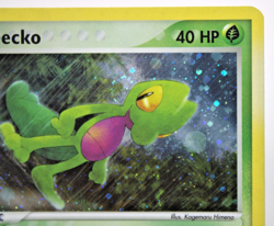 🔥 Treecko 016 Black Star Promo w/ Swirl ex Deck Tin Near Mint Pokemon TCG 🔥 - Image 5