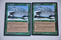 MTG Ice Age - Hot Springs - set of 2 - M-NM/Unplayed Magic the Gathering 1995 - Image 1