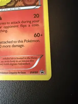 Pokemon TCG Card Rare Flareon BW88 Black & White Promo Holo 2013 NM - Image 4