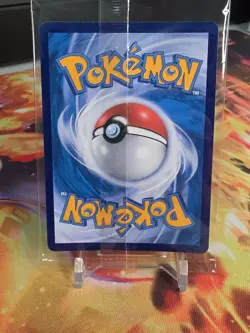 Litten 020/30th-P Pokemon 30th Anniversary First Partner Promo Card Chinese - NM - Image 2
