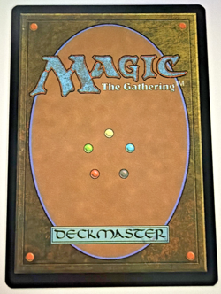 MTG Prismatic Vista 2699 Secret Lair Toby's Journey Foil NM/M Gary Baseman - Image 2