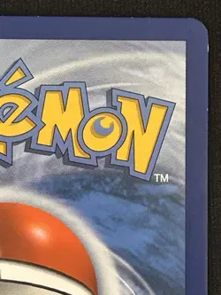 Charizard & Braixen GX SM230 TAG TEAM Promo Holo - Image 4