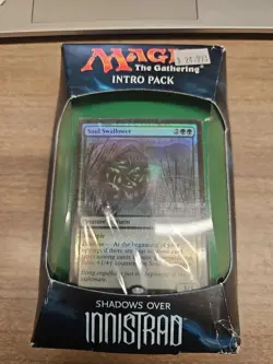 Magic The Gathering SHADOWS OVER INNISTRAD HORRIFIC VISIONS INTRO PACK New MTG - Image 1