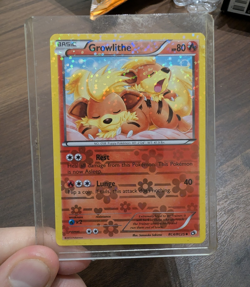 Pokemon TCG Growlithe RC4/RC25 Legendary Treasures Radiant Holo Eng 2013 80HP - Image 1