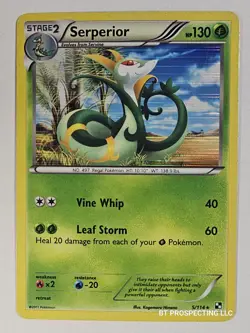 2011 Black & White Base Set Serperior 5/114 Holo - Image 1