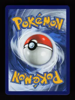 Lance's Charizard V SWSH133 Holo Promo Sword & Shield Promo Pokemon Cards - Image 2