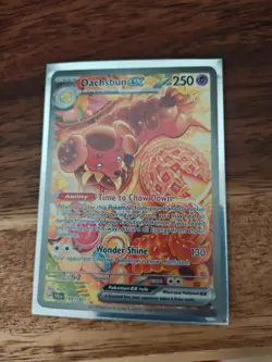 Pokemon Dachsbun ex 169/142 SIR Stellar Crown Special Illustration Rare - Image 1