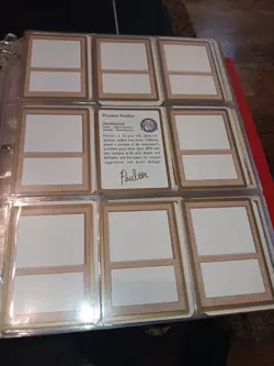MTG 8 BLANK FILLER CARDS+ PLAYER CARD POULTER! PRO TOUR NEW YORK TOURNAMENT 1996 - Image 2