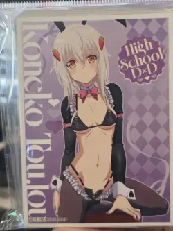 Koneko Toujou Reverse Bunny High School DXD Hero Collectible Card Sleeves - Image 3