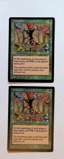 MTG - Magic The Gathering - Eladamari's Vineyard X 2 - Tempest - NP/NM! - Image 1