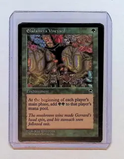 MTG - Magic The Gathering - Eladamari's Vineyard X 2 - Tempest - NP/NM! - Image 3