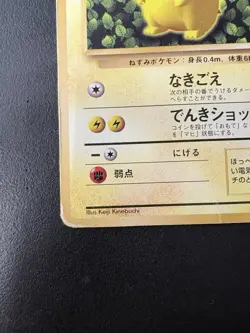 Ivy Pikachu Pokemon Japanese No.025 Corocoro Keiji Kinebuchi Non-glossy DMG - Image 5