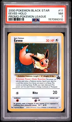 2000 Pokemon Promo Black Star #11 Eevee-Holo Promo-Pokemon League PSA 7 - Image 1