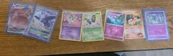 Card Bundle Plus Pawmot Plush And Card(Tin Included) - Image 1