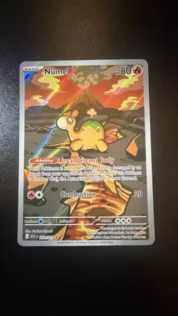 Numel 223/217 Illustration Rare Ascended Heroes Pokemon Card - Image 1