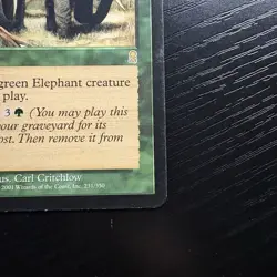 Call of the Herd Rare Regular MTG Odyssey #231 LP - Image 5
