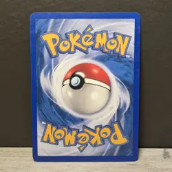 Mudkip 65/97 EX Dragon Set Pokemon Card TCG WoTC - NM - Image 2