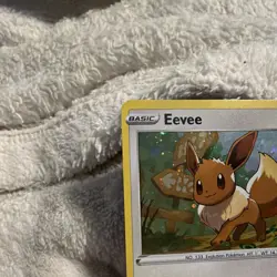 The Pokemon Company Eevee SWSH095 SWSH Promo Holo English Basic 60HP Saito - Image 2