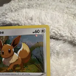 The Pokemon Company Eevee SWSH095 SWSH Promo Holo English Basic 60HP Saito - Image 3