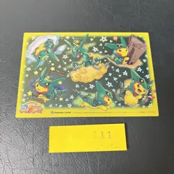 Japanese Pokemon Center Transparent clear Card Rayquaza Poncho Pikachu limited - Image 1