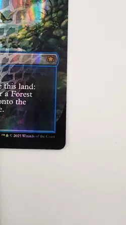 Misty Rainforest X1 Mtg Tarkir Dragon Storm Nm Borderless Foil Dragonscale - Image 4