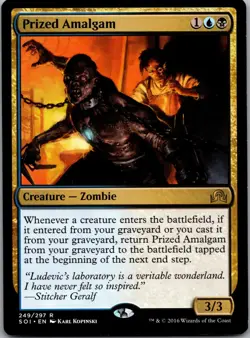 Prized Amalgam 249 Rare Shadows over Innistrad Magic: The Gathering LP - Image 1