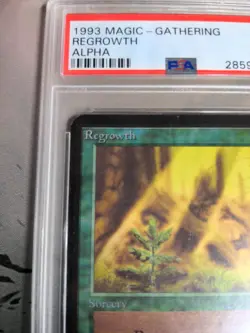 PSA 9 ALPHA Regrowth MTG Magic the Gathering MINT - Image 3