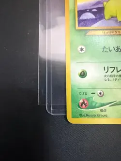 Chikorita Old Back lv.12 No.152 Champion Road Commemorative Card Japanese - Image 5