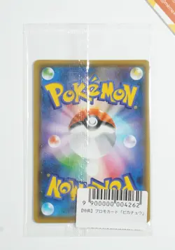 Pokemon Pikachu Yu Nagaba #208/S-P 2021 Purchase Campaign Promo Sealed - Image 2