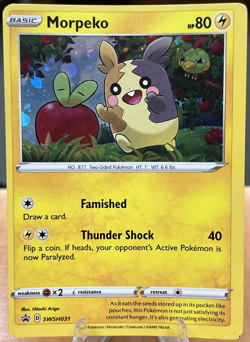 Morpeko SWSH031 Sword & Shield Black Star Promo Holo Rare Pokemon TCG - NM - Image 1
