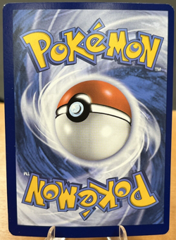 Morpeko SWSH031 Sword & Shield Black Star Promo Holo Rare Pokemon TCG - NM - Image 2