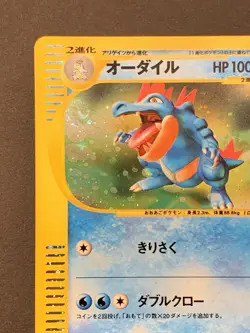 Feraligatr 016/P Holo 2002 Lottery eCard Promo Pokemon Japanese - Image 3