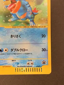 Feraligatr 016/P Holo 2002 Lottery eCard Promo Pokemon Japanese - Image 5