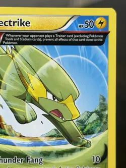 Electrike (Omega) 60/160 XY Primal Clash Pokemon TCG Near Mint - Image 3