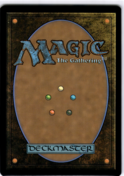Multiversal Passage Borderless #0206 Spider-Man NM MTG - Image 2