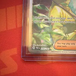 Parasol Lady 255/182 Special Illustration Rare SIR Pokemon Paradox Rift - NM/M - Image 2