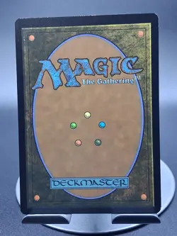 Adarkar Wastes (Borderless) R Dominaria United 377 NM - Image 2
