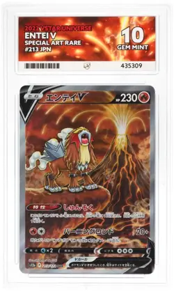 Pokemon TCG: Entei V 213/172 VSTAR Universe SAR Japanese ACE 10 GEM MINT - Image 1