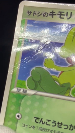 (HP) Ash's Treecko 036/ADV-P Shogakukan Promo Japanese Pokemon Card #2 - Image 2
