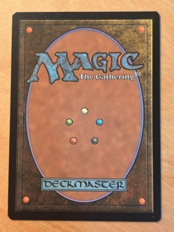 MTG Magic the Gathering Undercity Sewers Murders at Karlov Manor NM - Image 2