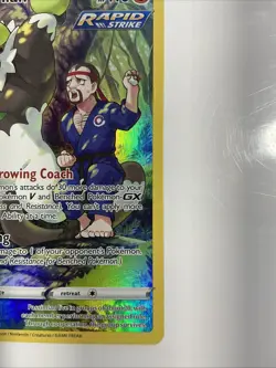 Passimian TG08/TG30 Swsh12: Sword & Shield - Silver Tempest Trainer Gallery Holo - Image 4